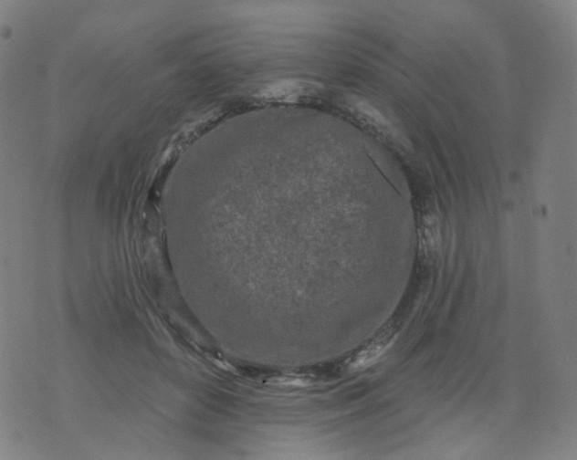 X0000074280504200609081830