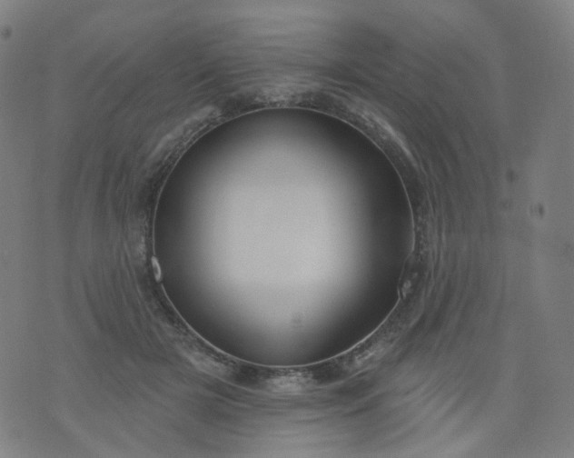 X0000074280505200609081830