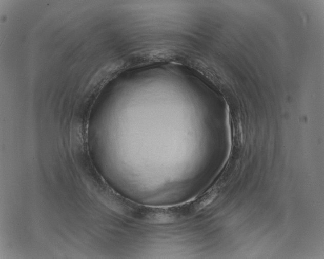 X0000074280506200609081830