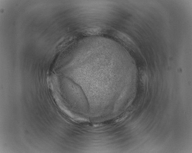 X0000074280507200609081830