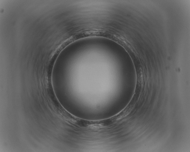 X0000074280508200609081830