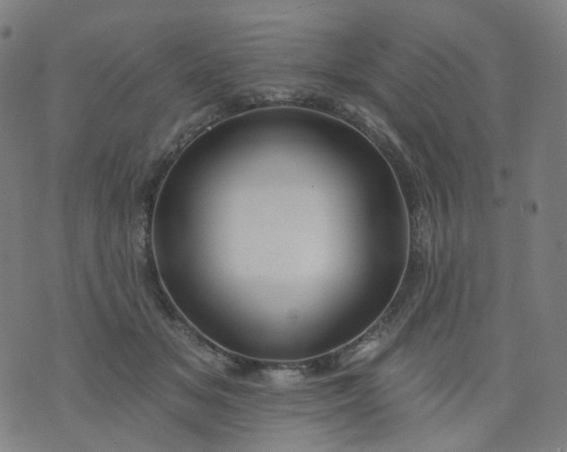 X0000074280509200609081830