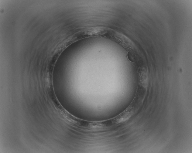 X0000074280510200609081830