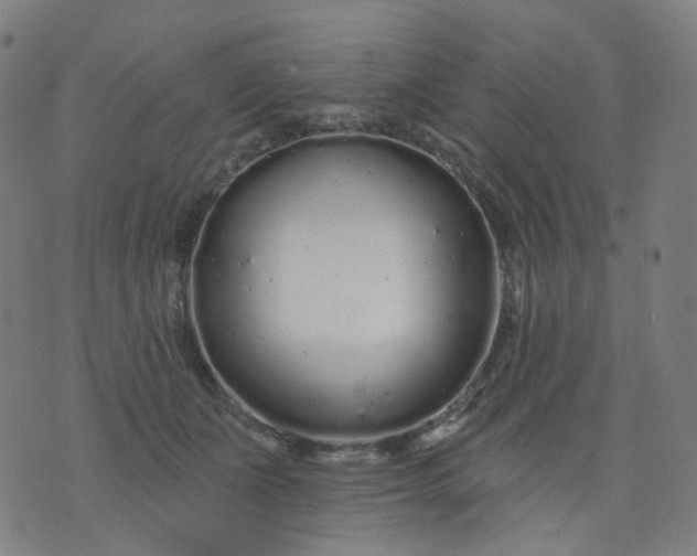 X0000074280511200609081830