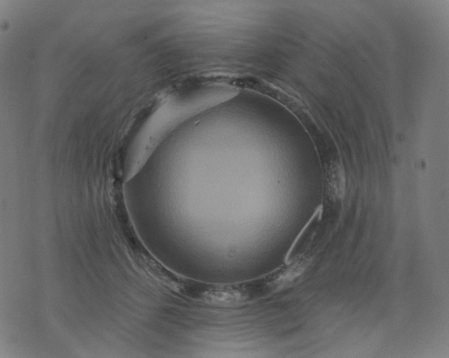 X0000074280512200609081830