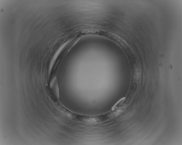 X0000074280513200609081830