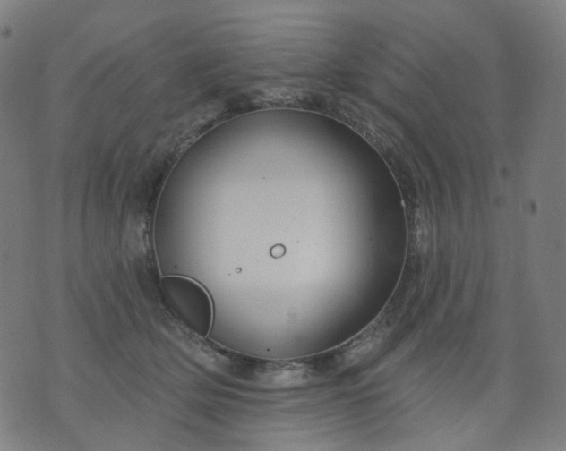 X0000074280514200609081830