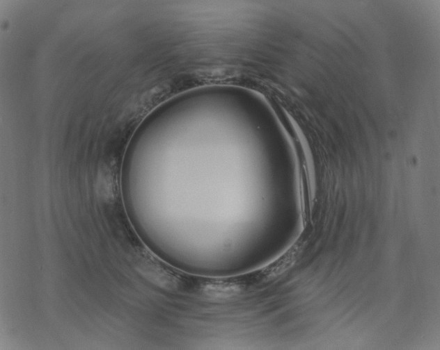 X0000074280515200609081830