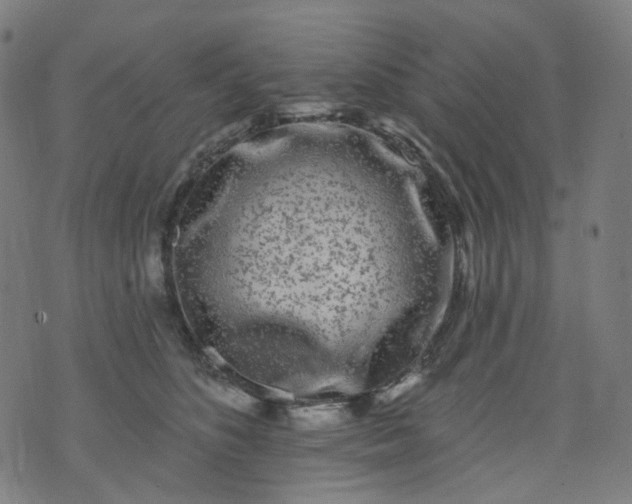 X0000074280516200609081830