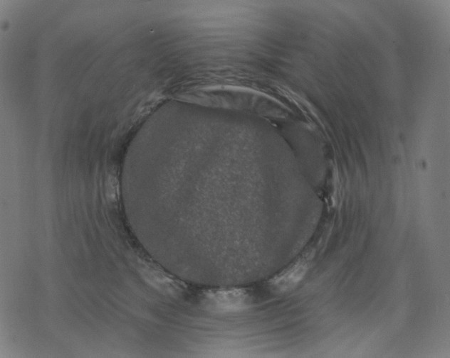 X0000074280517200609081830