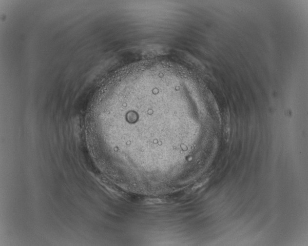 X0000074280519200609081830