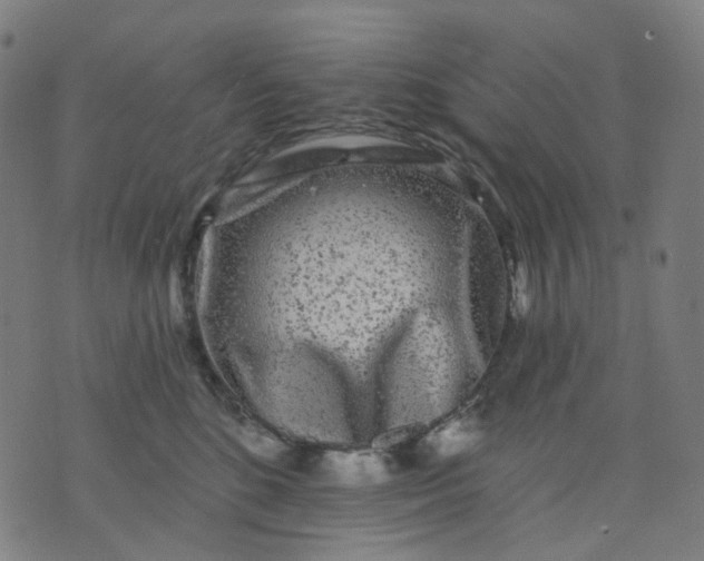 X0000074280520200609081830