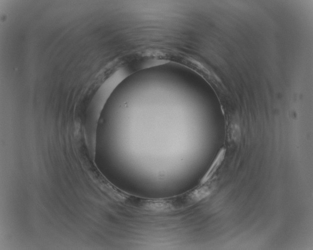 X0000074280521200609081830