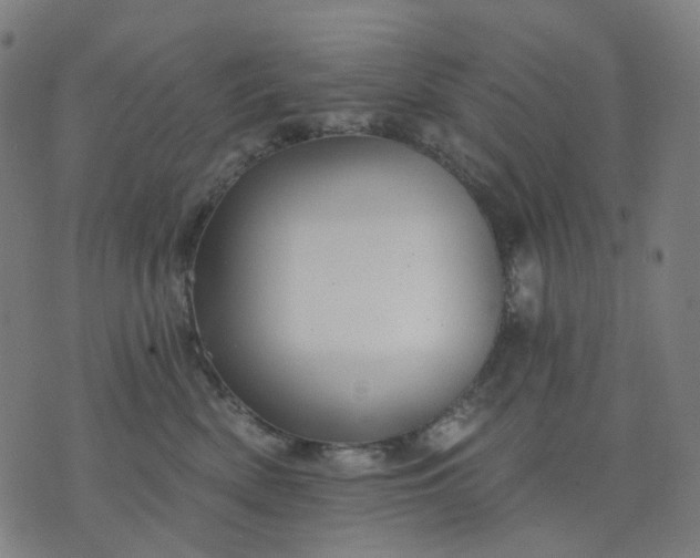 X0000074280522200609081830