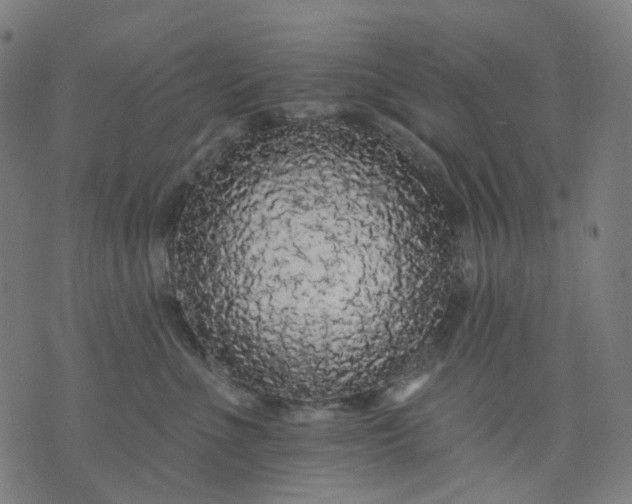 X0000074280523200609081830