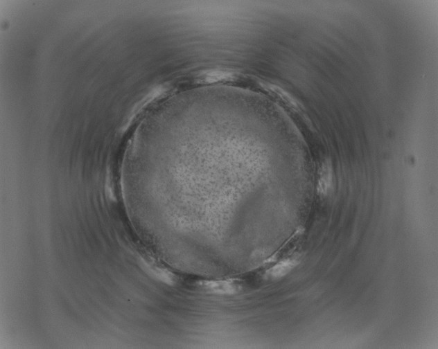 X0000074280524200609081830