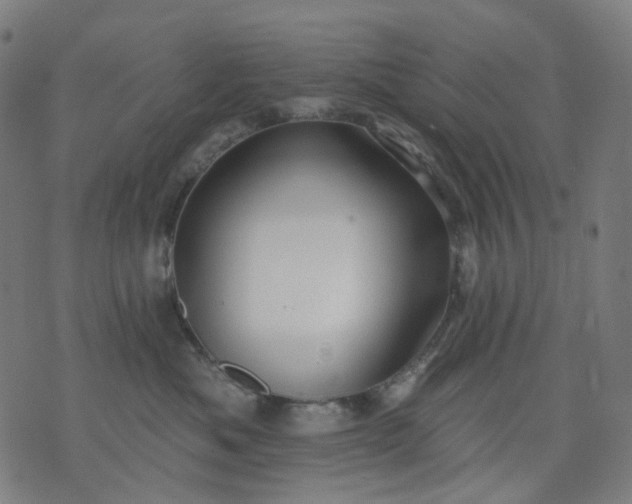 X0000074280525200609081830