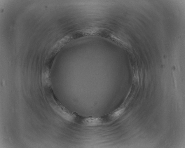 X0000074280526200609081830