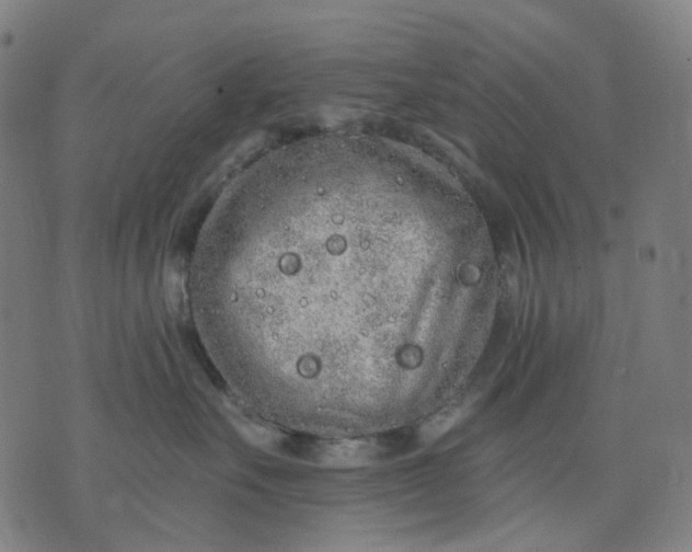 X0000074280527200609081830