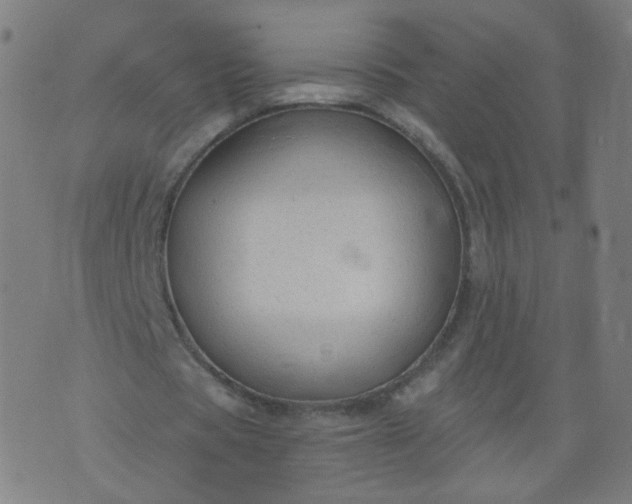 X0000074280529200609081829