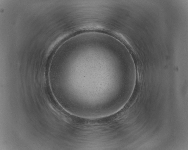 X0000074280531200609081829