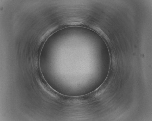 X0000074280533200609081829