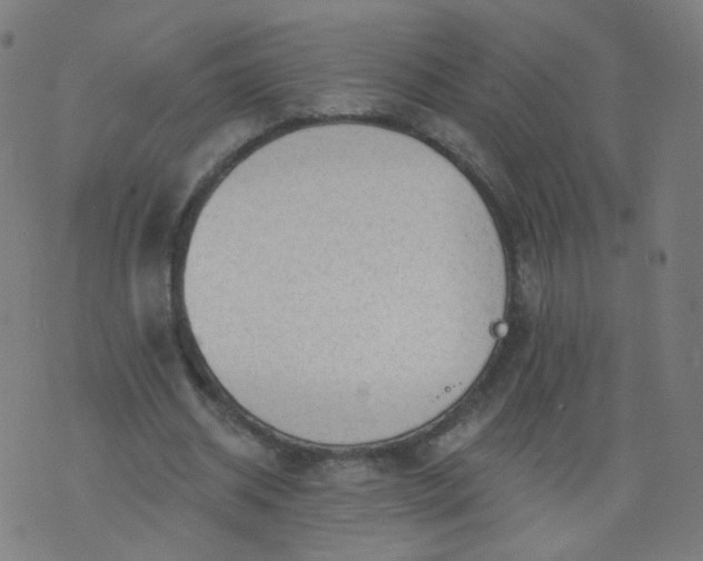 X0000074280534200609081829