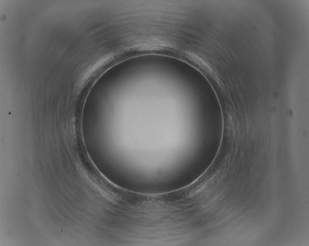 X0000074280535200609081829