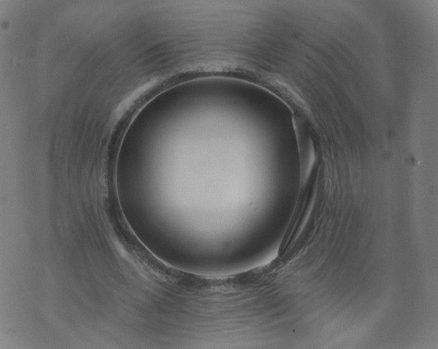 X0000074280536200609081829