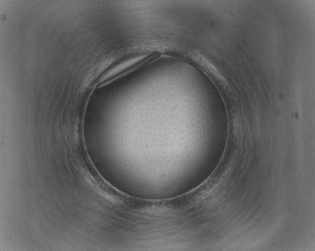 X0000074280537200609081829