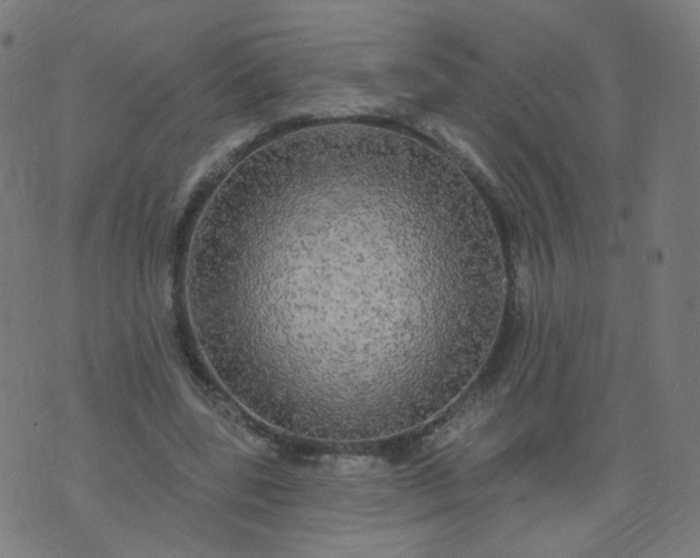 X0000074280539200609081829