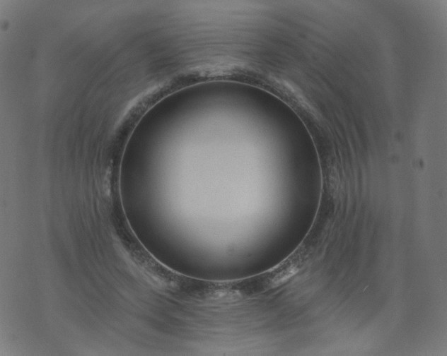 X0000074280543200609081829