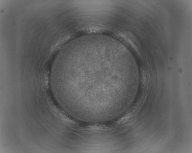 X0000074280545200609081829