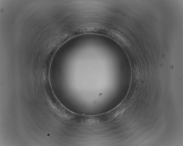 X0000074280546200609081829