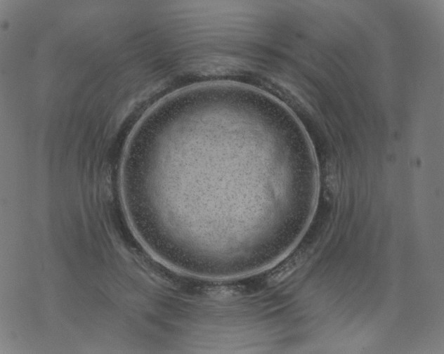 X0000074280547200609081829