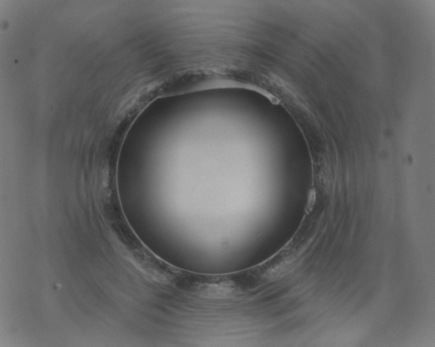 X0000074280548200609081829