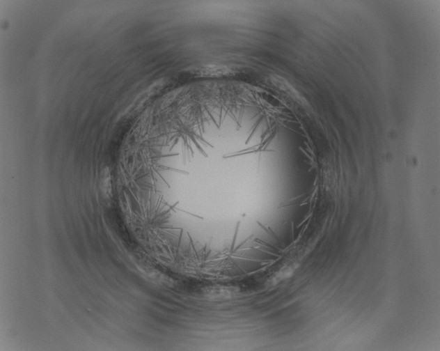 X0000074280549200609081829