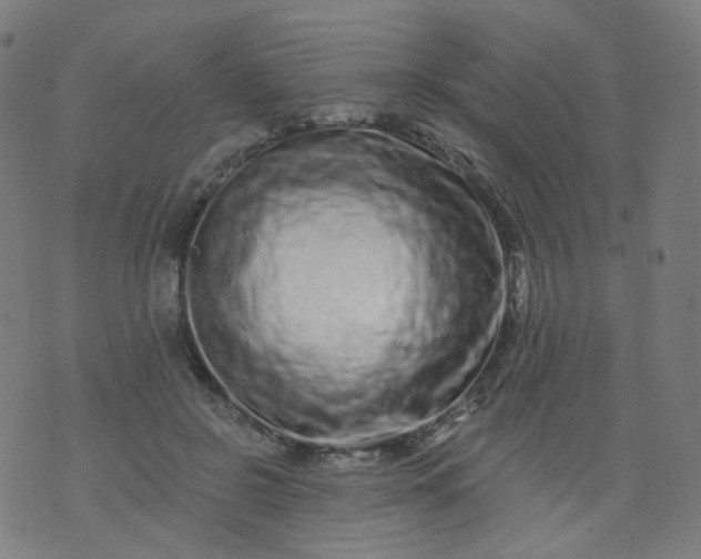 X0000074280550200609081829