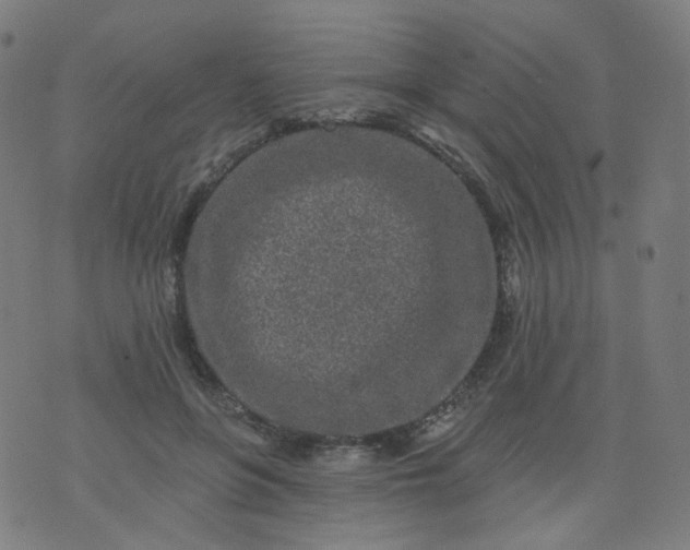 X0000074280551200609081829