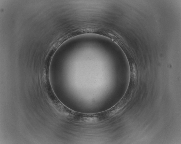 X0000074280552200609081830