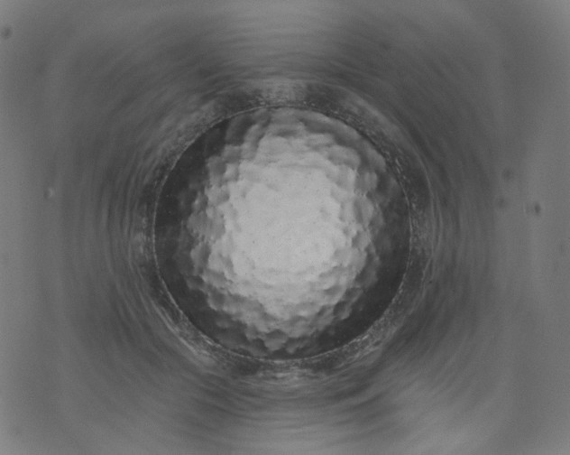 X0000074280553200609081830