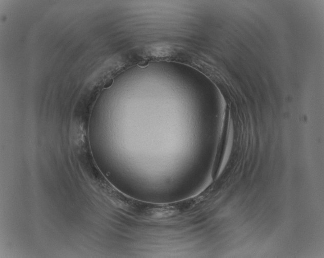 X0000074280555200609081830