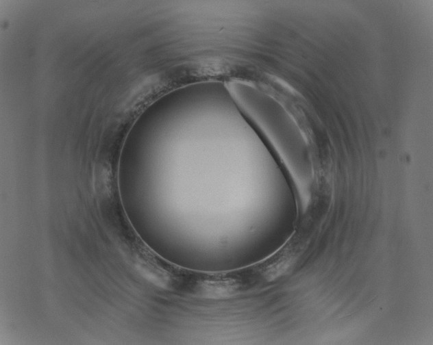 X0000074280556200609081830