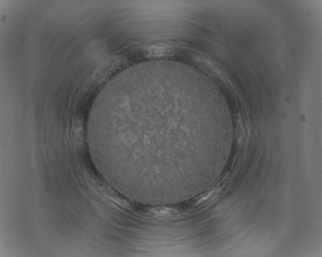 X0000074280557200609081830