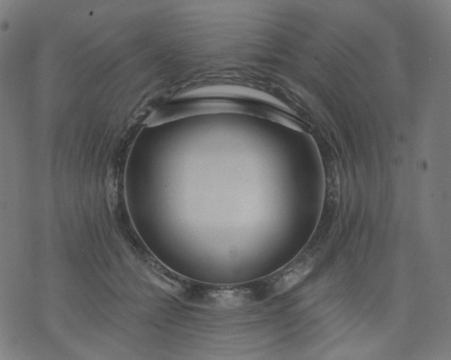 X0000074280558200609081830