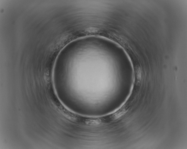 X0000074280559200609081830