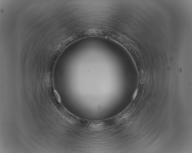 X0000074280560200609081830