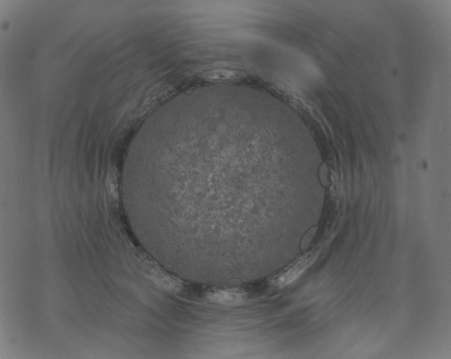 X0000074280561200609081830