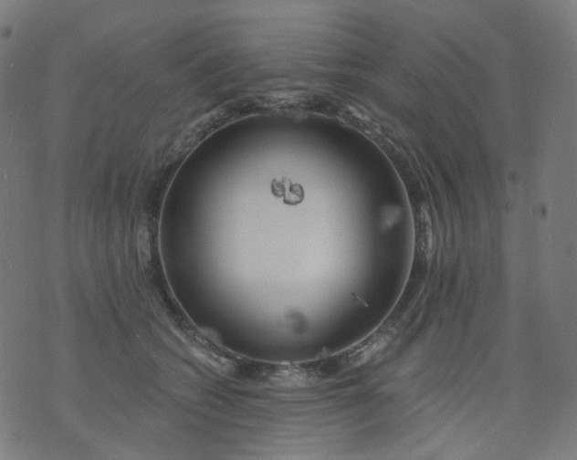 X0000074280562200609081830