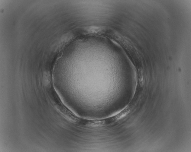 X0000074280563200609081830